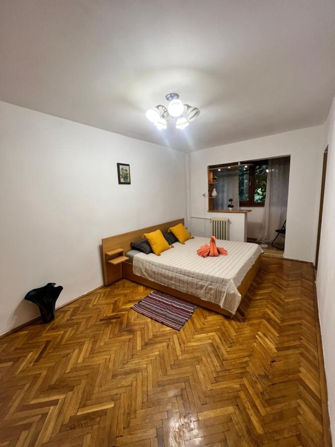 Miha Modern And Central Apartament Malul Muresului Arad Exterior photo